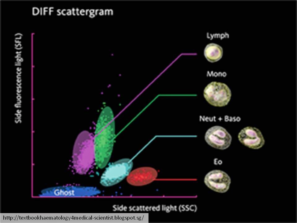 Forward Scatter Flow Cytometry