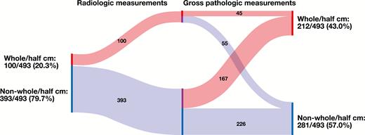Infographic showing the distribution of radiologic vs gross pathologic measurements.