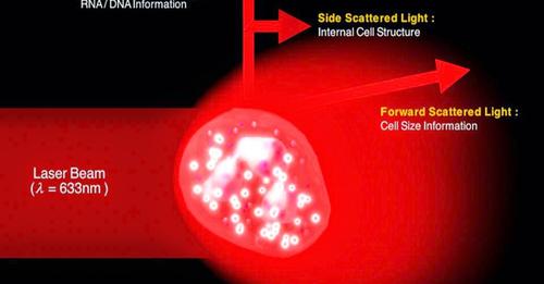 Hematology Lessons Best Lab: Flow Cytometry-based Hematology Analyzers