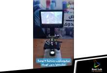 (notitle)